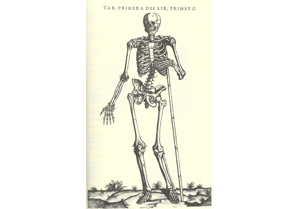 Hª C Cuerpo Humano-Valverde Amusco-Salamanca-Lafreri-Incunabula & Ancient Books-facsimile book-Vicent García Editores-5 Skeleton